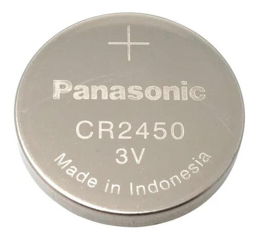 P2450_1.jpg